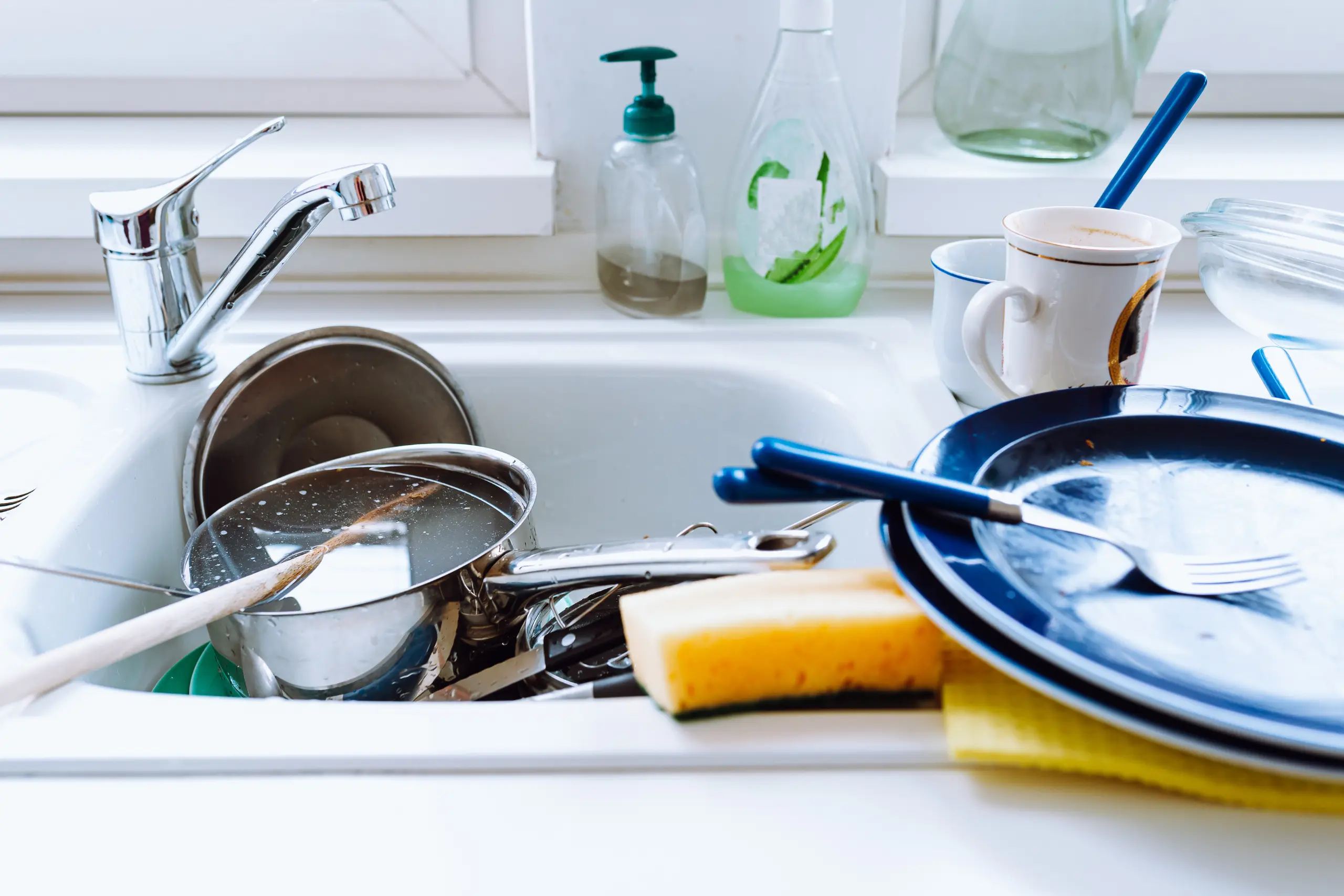 You are currently viewing Essential Tips for a Cleaner, Greener Home